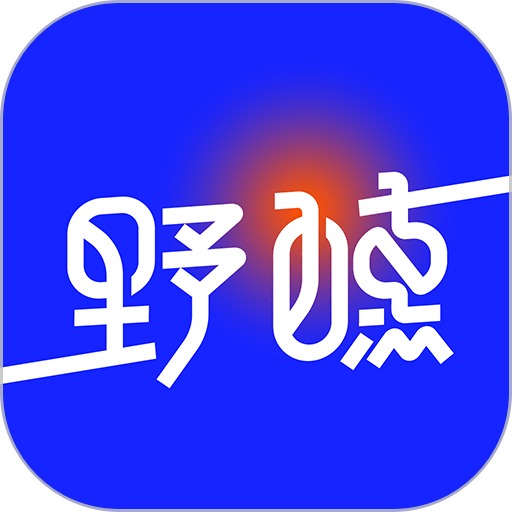 野醺调酒