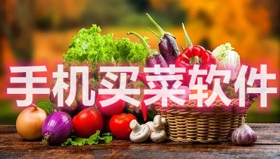 买菜软件