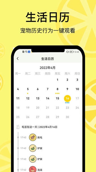 宠日常最新版 宠日常app下载