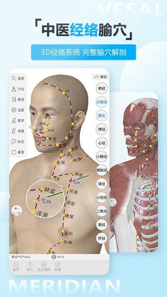 维萨里3d解剖教学 v7.0.1 安卓最新版 0