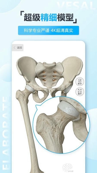 维萨里3d解剖教学 v7.0.1 安卓最新版 1