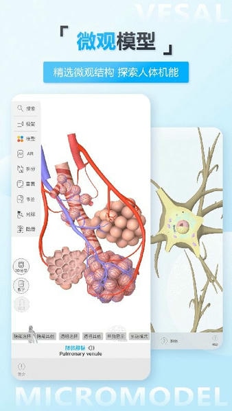 维萨里3d解剖教学 维萨里3d解剖app免费版下载