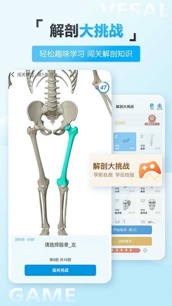 维萨里3d解剖教学 v7.0.1 安卓最新版 3