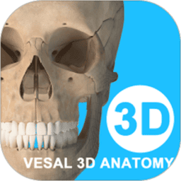 维萨里3d解剖教学v7.0.1 安卓最新版