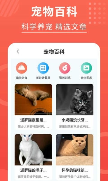 猫猫翻译器软件 v3.2.8 安卓版 0