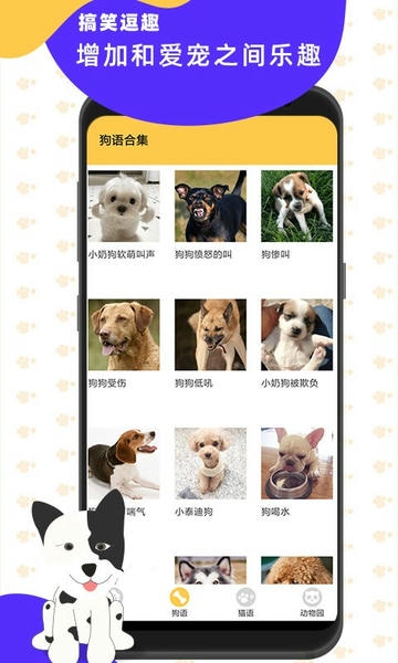 猫狗翻译神器软件 v3.4 安卓版 1