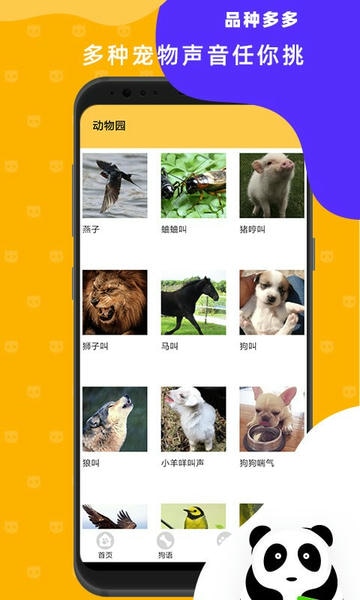 猫狗翻译神器软件 v3.4 安卓版 2
