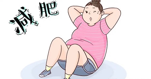减肥软件