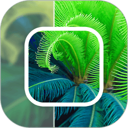 模糊照片修复app