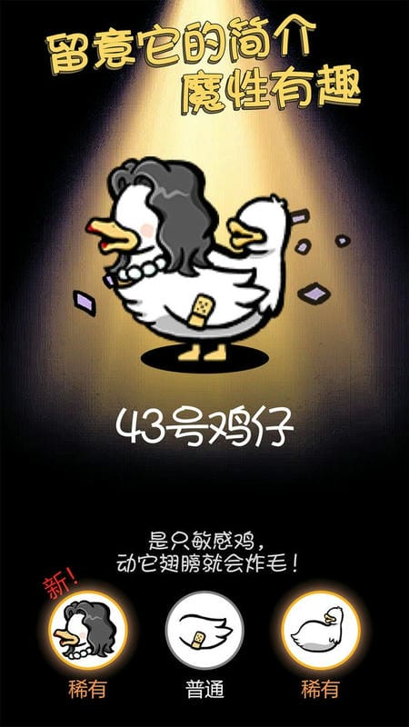 小鸡真奇怪官方版 v1.0.1 安卓版 1