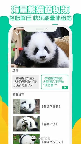 熊猫频道官方版 熊猫频道app下载