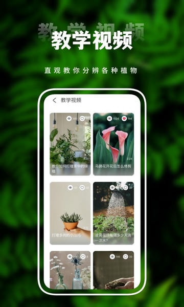 害羞草生活视频手机版 v1.0.5 安卓版 0