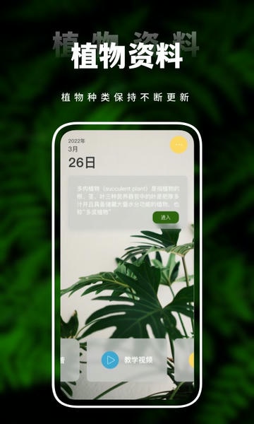 害羞草生活视频手机版下载 害羞草生活视频软件下载