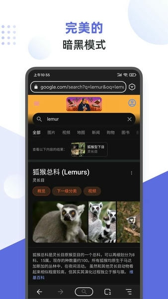 狐猴浏览器app v2.7.3.021 安卓版 2