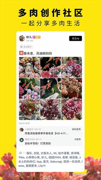 多肉圈最新版 v4.0 安卓版 1
