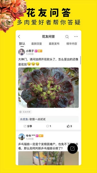 多肉圈最新版 v4.0 安卓版 2