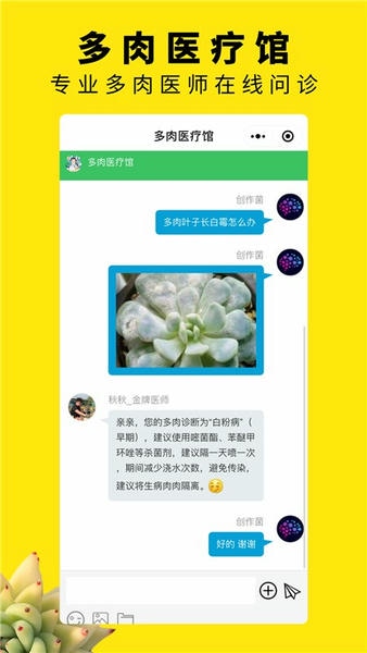 多肉圈下载 多肉圈app