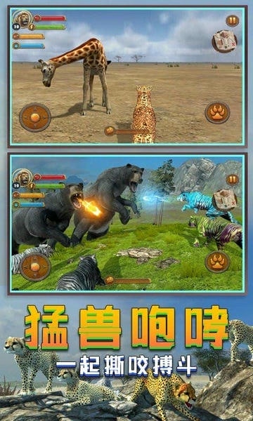 丛林老虎模拟器汉化版 v1.0 安卓版 2