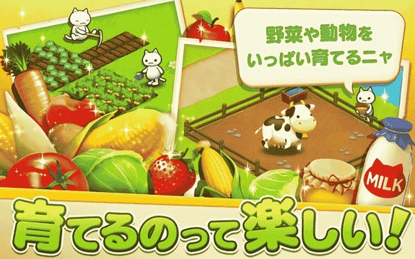 星星岛猫咪游戏 星星岛猫咪下载