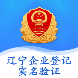 辽宁企业登记实名验证软件