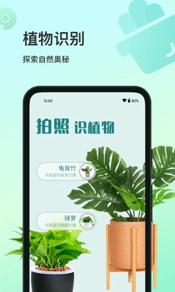 花卉识别扫一扫app v1.0.6 安卓版 3