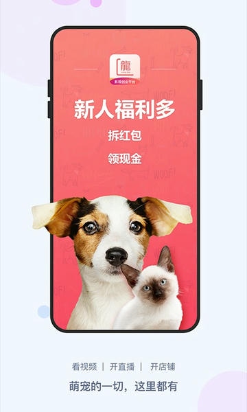 龙平台影视最新版 v4.1.6 安卓版 0
