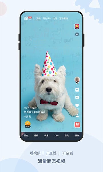 龙平台影视最新版 v4.1.6 安卓版 1