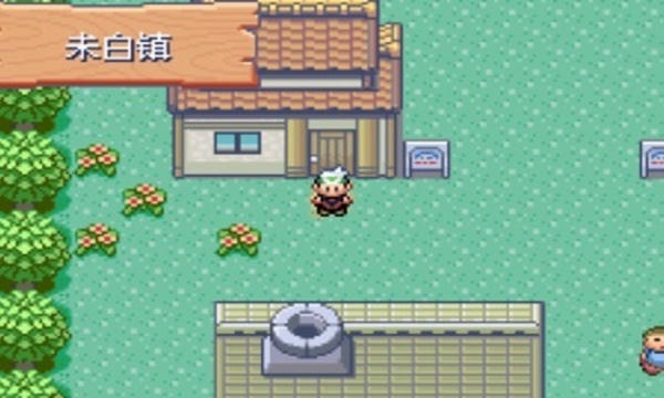 口袋妖怪绿宝石802游戏手机版 口袋妖怪绿宝石802全随机下载