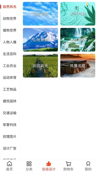 图王网app v1.1.54 安卓版 2