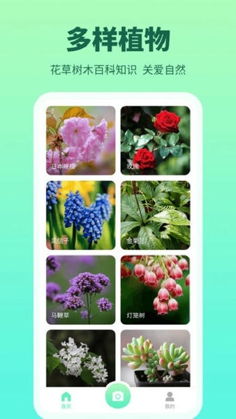 花多多识别 v1.0.4.0 安卓版 0
