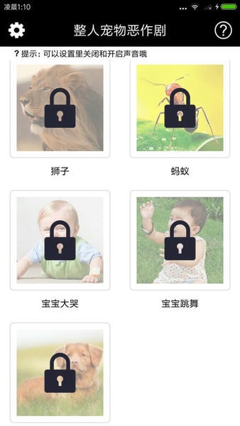 整人宠物恶作剧手机版 整人宠物恶作剧app下载