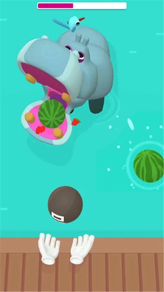 快乐动物园最新版 v1.0.19 安卓版 2