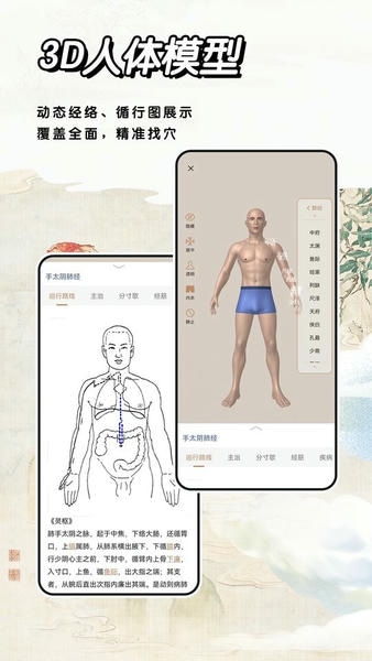 中医经络穴位标准指南软件 中医经络穴位标准指南app