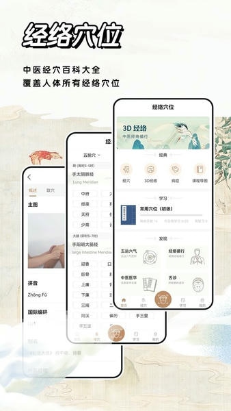 中医经络穴位标准指南软件 v2.1 安卓版 0