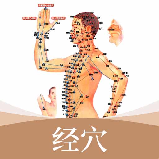 中医经络穴位标准指南软件v2.0 安卓版