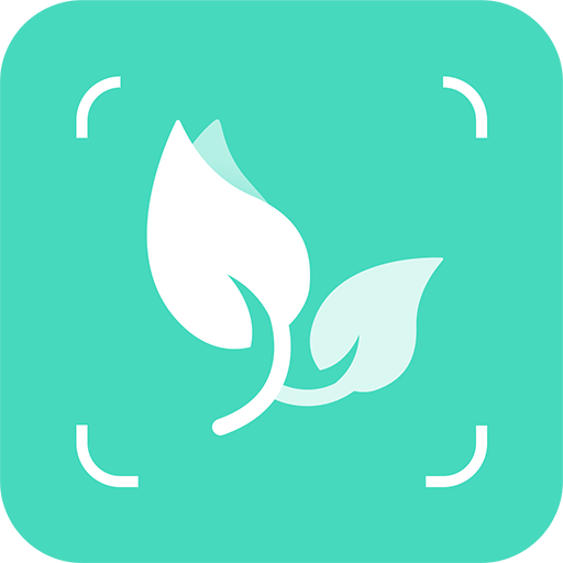 智能拍照识物app