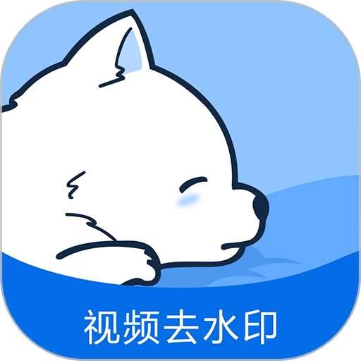 视频去水印专家app