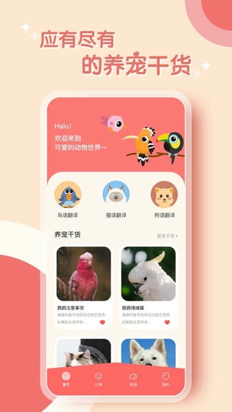 鹦鹉翻译器app v2.0.7 安卓版 0