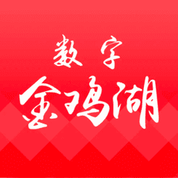 数字金鸡湖软件