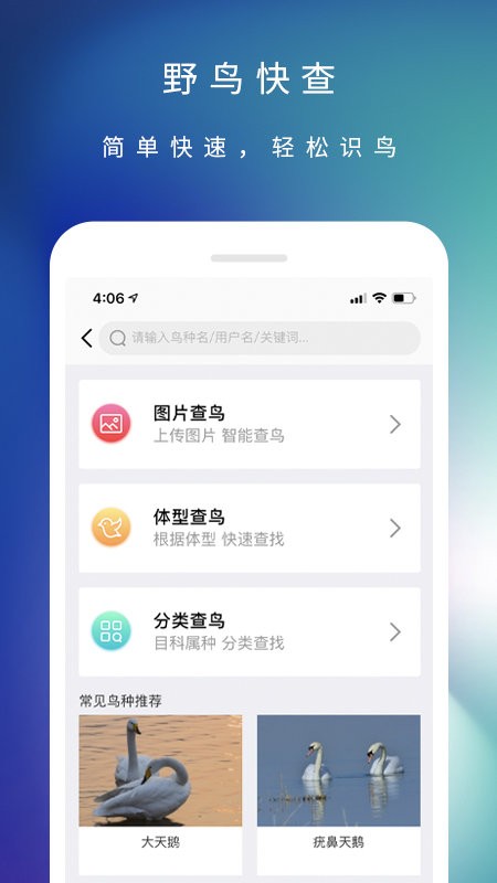 爱鸟国际网 v3.7.0 安卓版 0