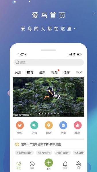 爱鸟国际网 v3.7.0 安卓版 4