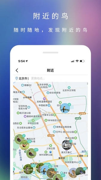 爱鸟国际网 v3.7.0 安卓版 1
