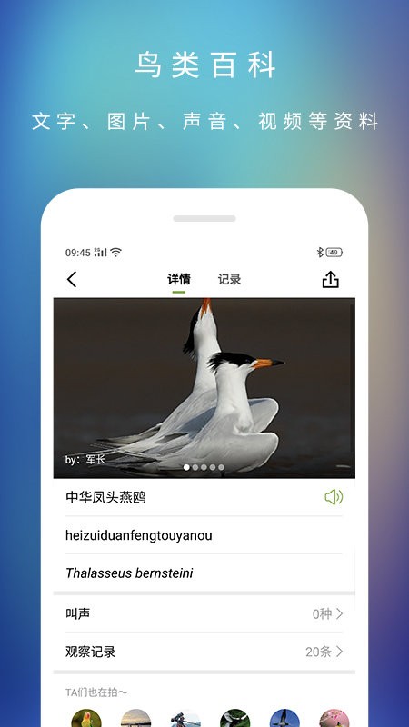 爱鸟app下载