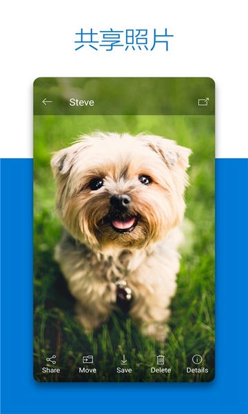 微软云盘onedrive v7.58 安卓版 3