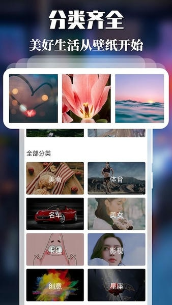手机免费主题壁纸app v1.19 安卓版 0