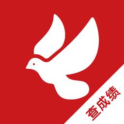 赛鸽头条搜鸽天下