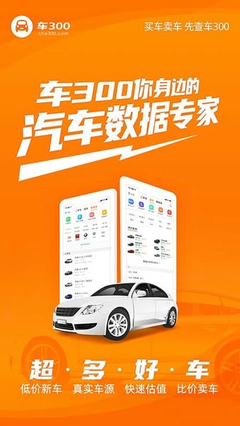 车300二手车app v5.6.1.03 安卓版 0