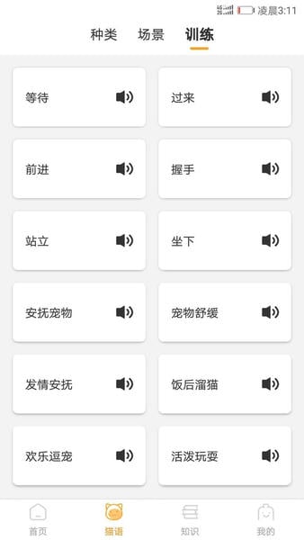 猫咪翻译器 猫咪翻译器