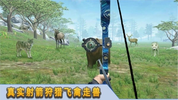 射箭达人小游戏 射箭达人中文版