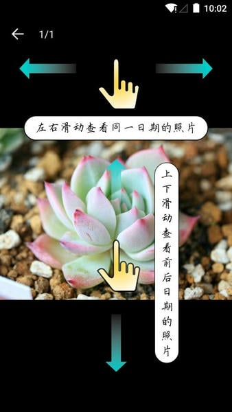 多肉成长记录 多肉成长记app下载
